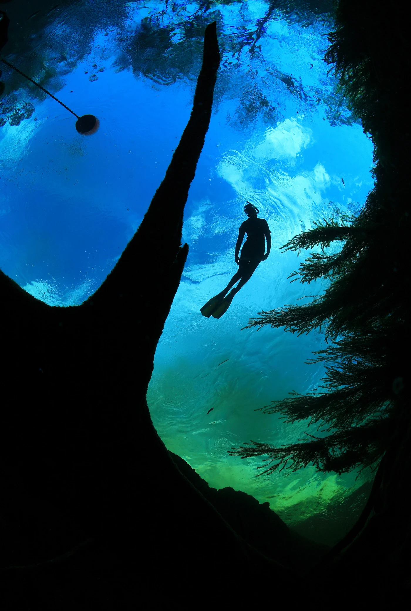 TRA ACQUA E CIELO - Wide Angle gold by ALESSIO VIORA, See in the Sea underwater photography contest