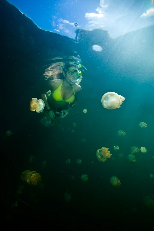 JELLY LAKE - Wide Angle silver by ENRICO ARRIGONI, See in the Sea underwater photography contest
