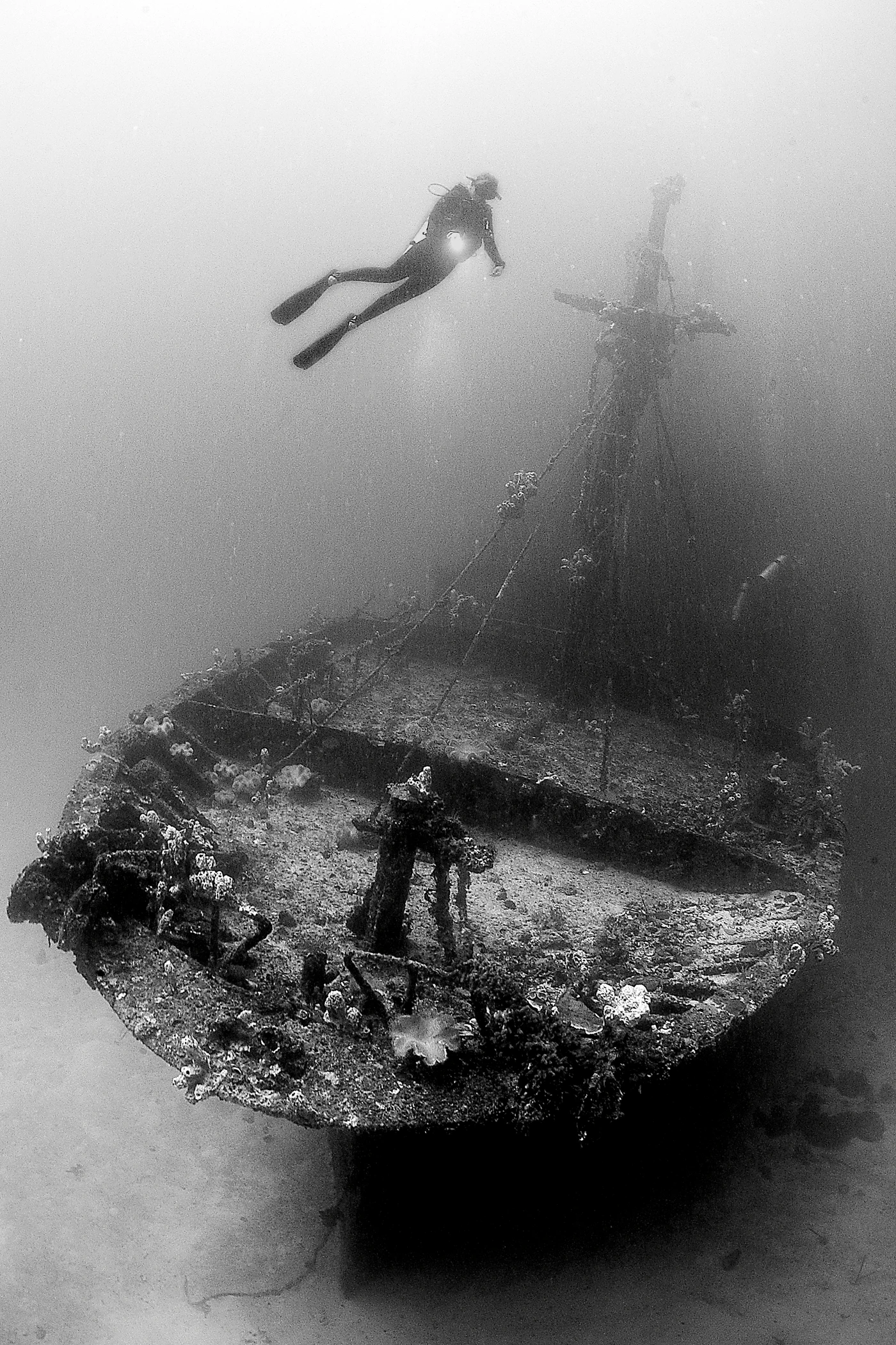 WREK - Black & White silver by MARCO CARACENI, See in the Sea underwater photography contest
