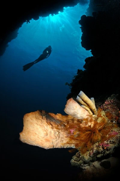GROTTINA - Wide Angle runner up by MICHELE  DAVINO, See in the Sea underwater photography contest