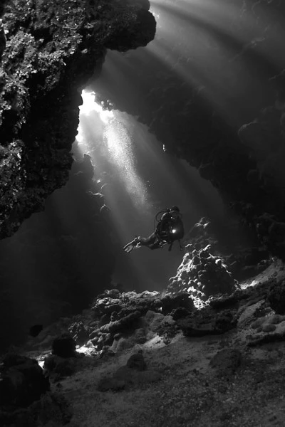 THE CAVE - Black & White bronze by MARCELLO  DI FRANCESCO, See in the Sea underwater photography contest