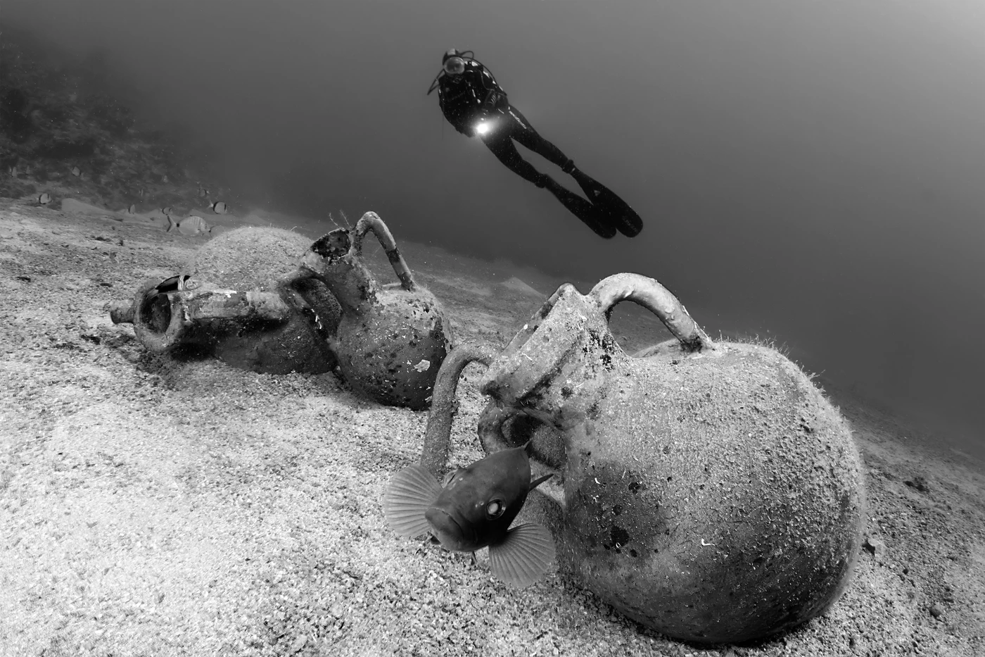 IL DOTTO E LE ANFORE - Black & White runner up by FRANCESCO  VISINTIN, See in the Sea underwater photography contest
