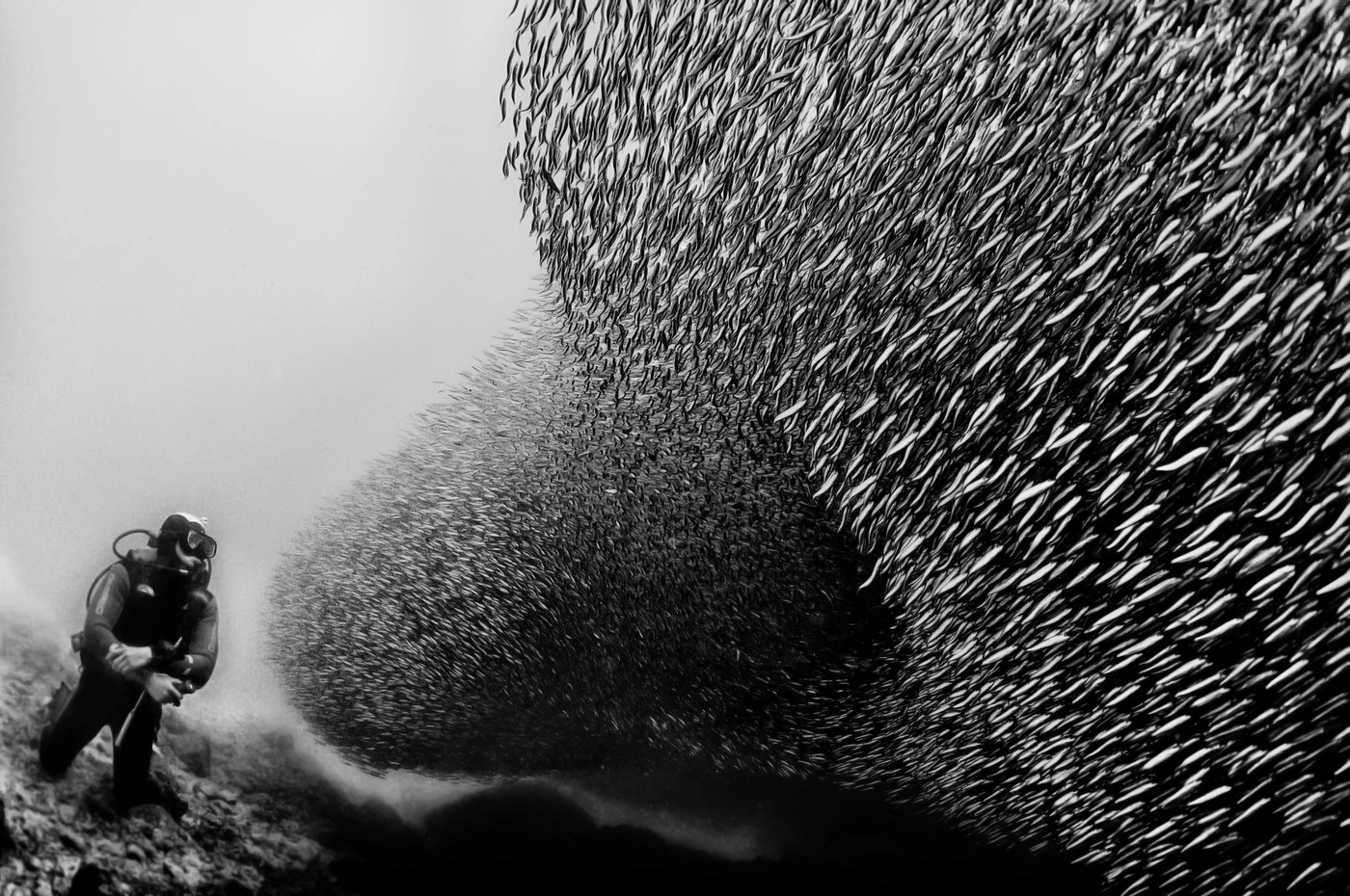 IL MURO - Black & White silver by MARCO  CARACENI , See in the Sea underwater photography contest