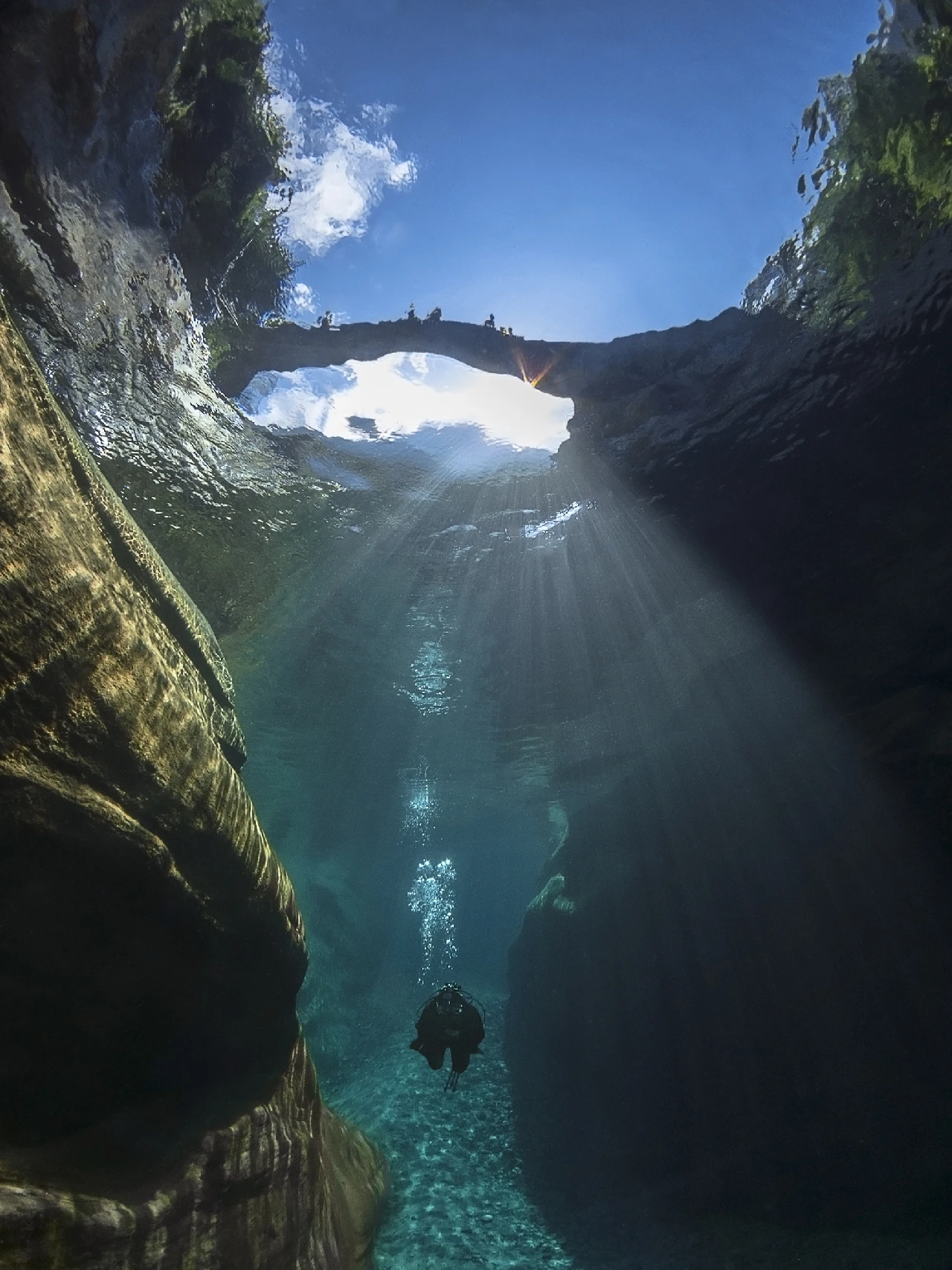 Giochi Di Luce - Newcomers silver by Francesco Bazzotti, See in the Sea underwater photography contest