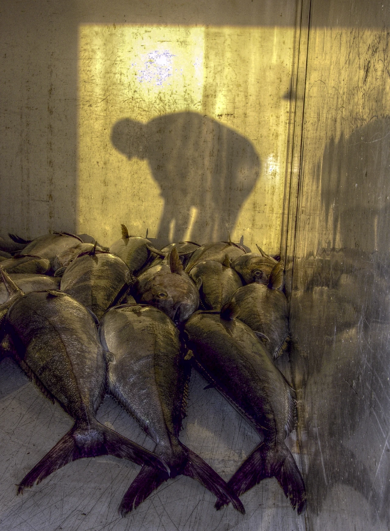 The Human Shadow on the Sea - The Professions of the Sea silver by Marco Faimali, See in the Sea underwater photography contest