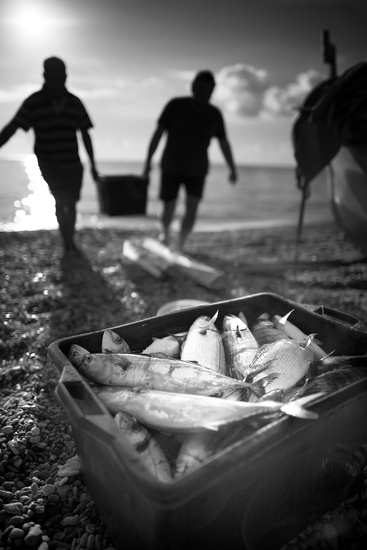 L'alba dei pescatori - The Professions of the Sea runner up by Aldo Costa, See in the Sea underwater photography contest