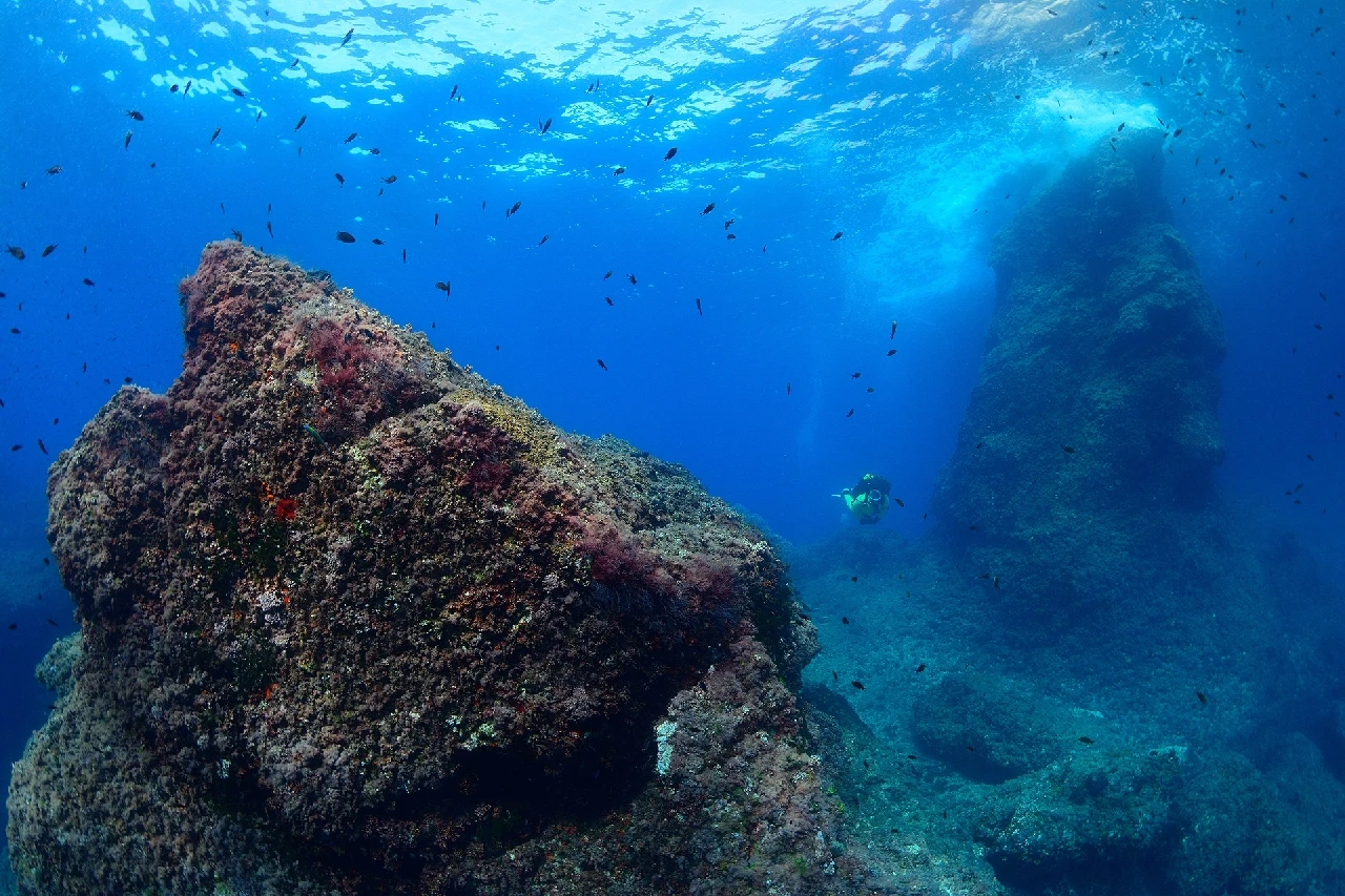 Underwater World