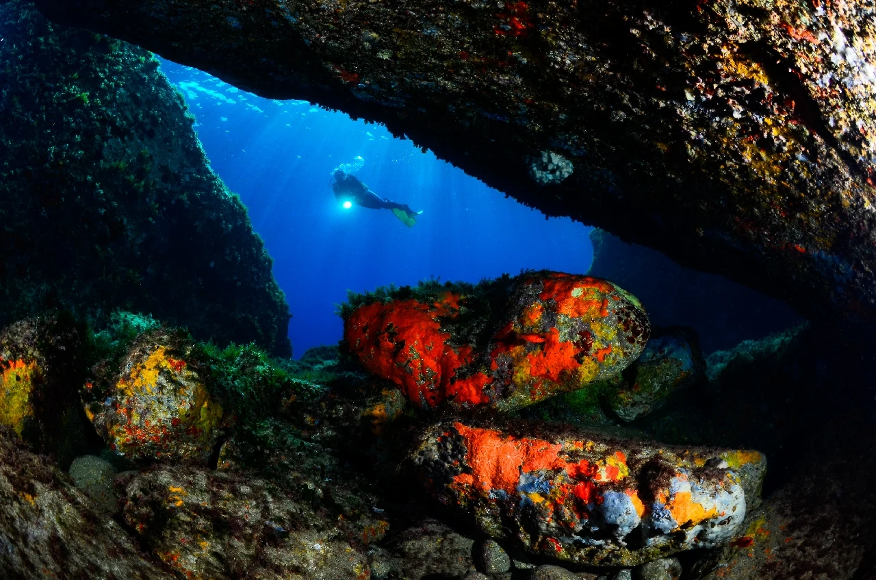 Grotta