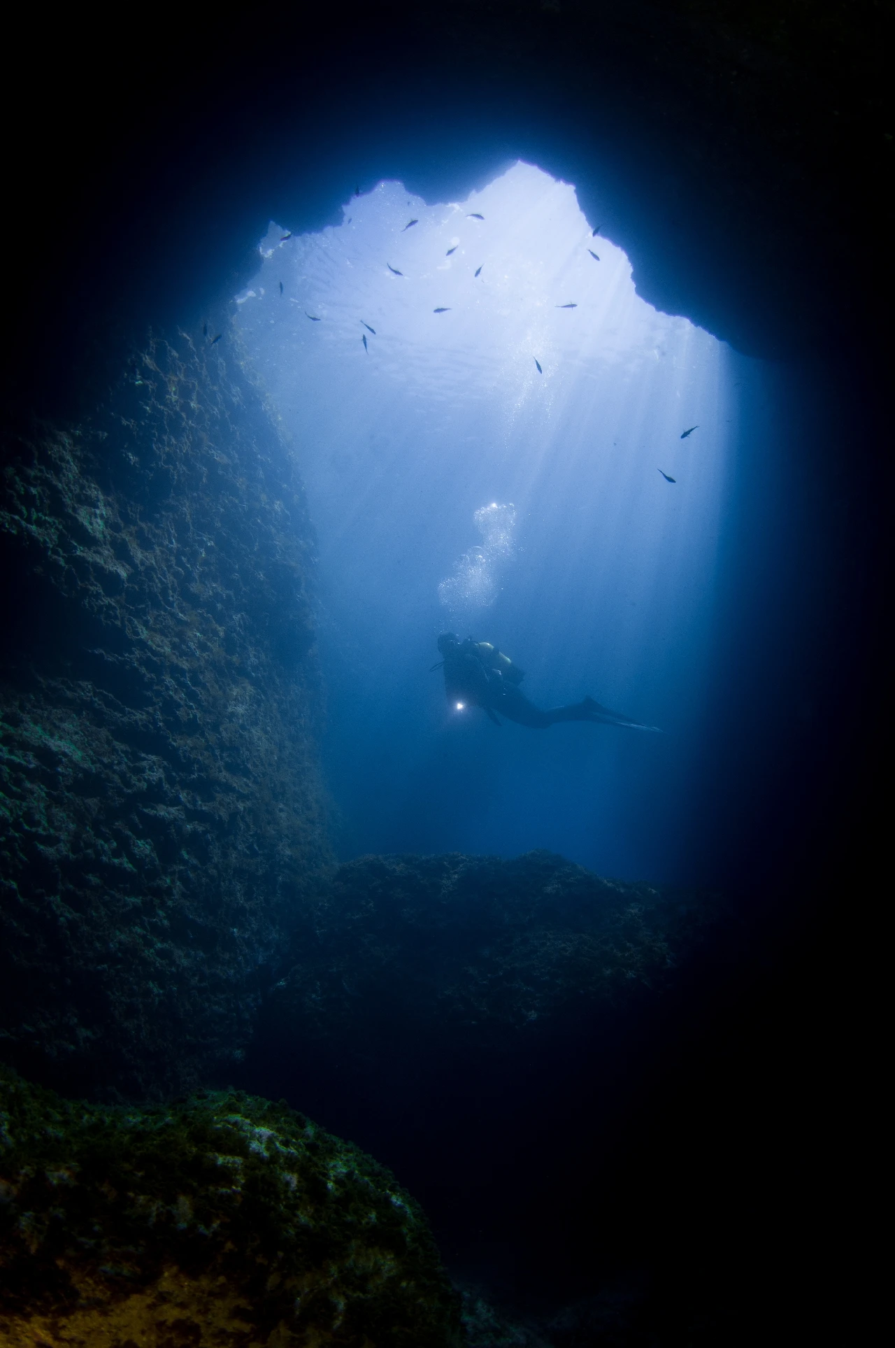 The Cave