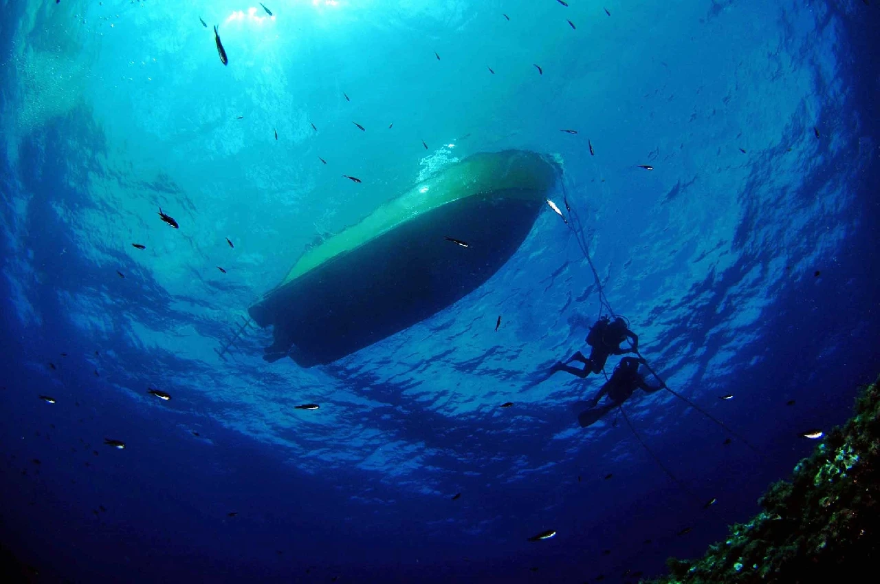Decompressione - Dan Europe runner up by Alberto Gallucci, See in the Sea underwater photography contest