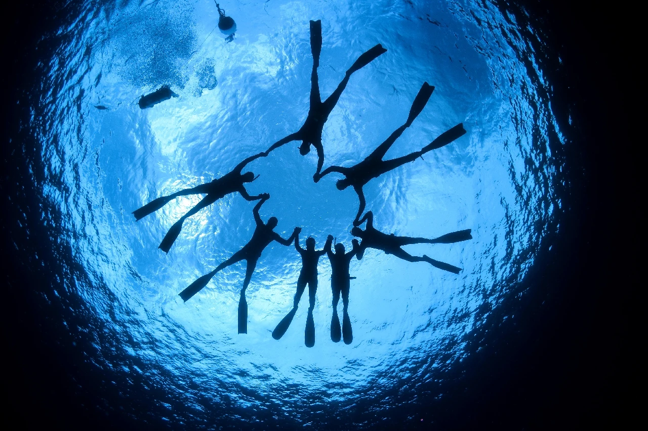 Unione - Dan Europe silver by Vito Giannecchini, See in the Sea underwater photography contest