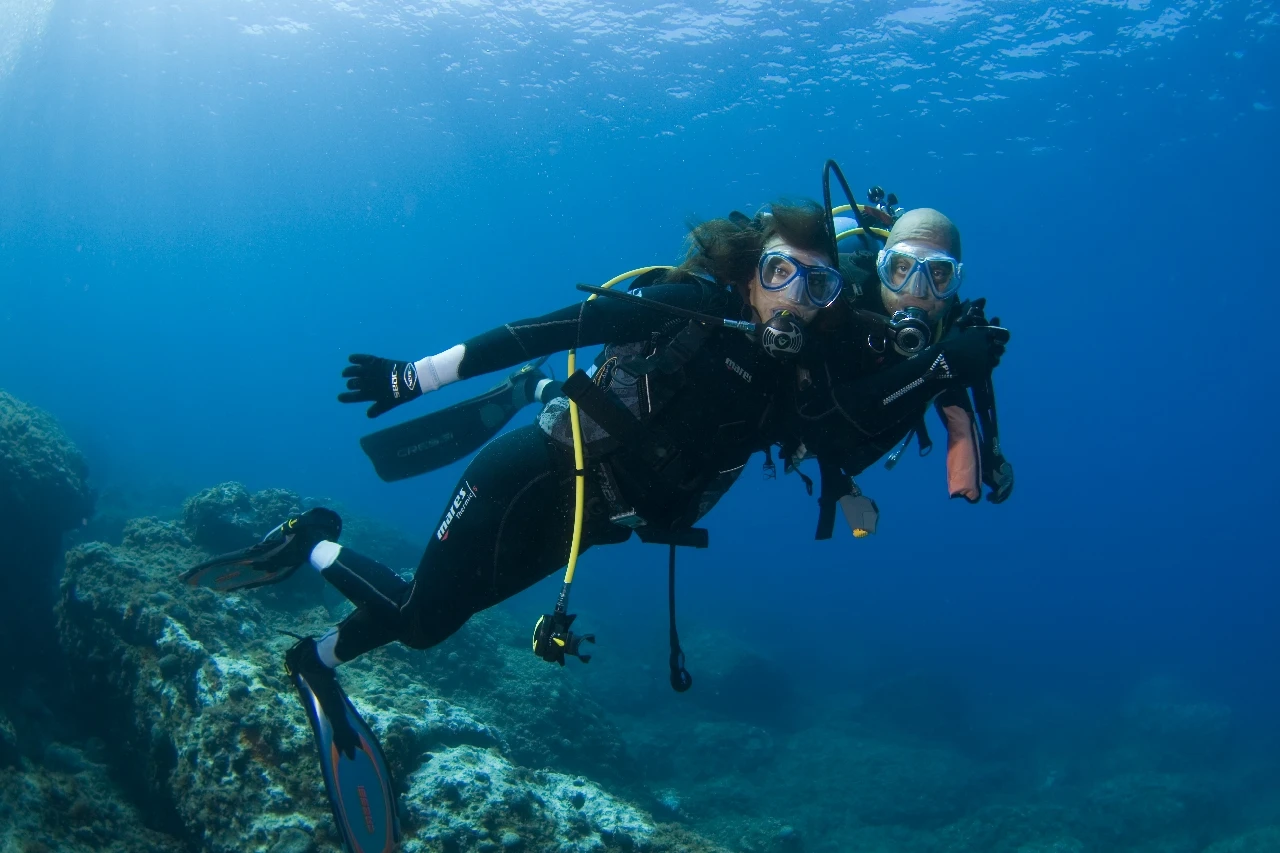 La Coppia - Dan Europe runner up by Fabrizio Pompilio, See in the Sea underwater photography contest