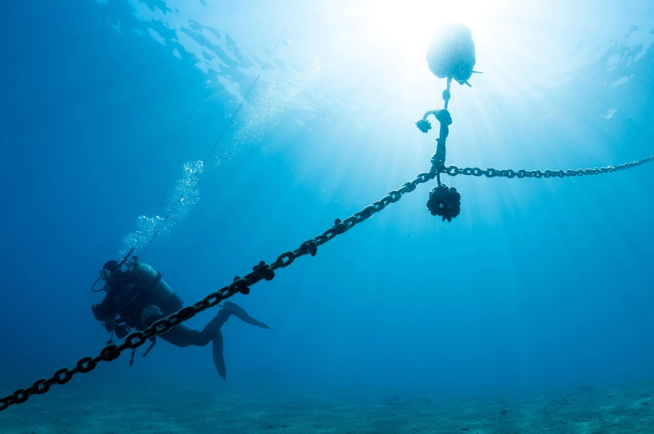 Segnalazione - Dan Europe runner up by Lorenzo Terraneo, See in the Sea underwater photography contest