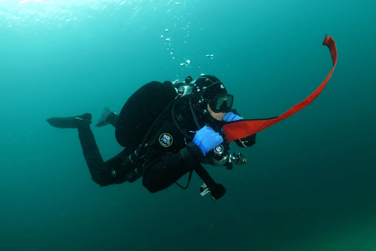 Diego E La Boa Sparabile - Dan Europe gold by Virginia Salzedo, See in the Sea underwater photography contest