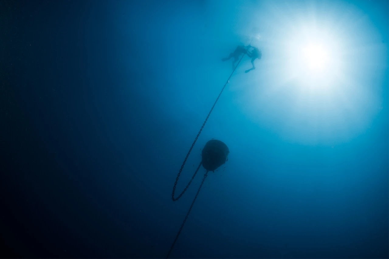 Sistema Di Coppia a Prescindere - Dan Europe bronze by Lorenzo Terraneo, See in the Sea underwater photography contest