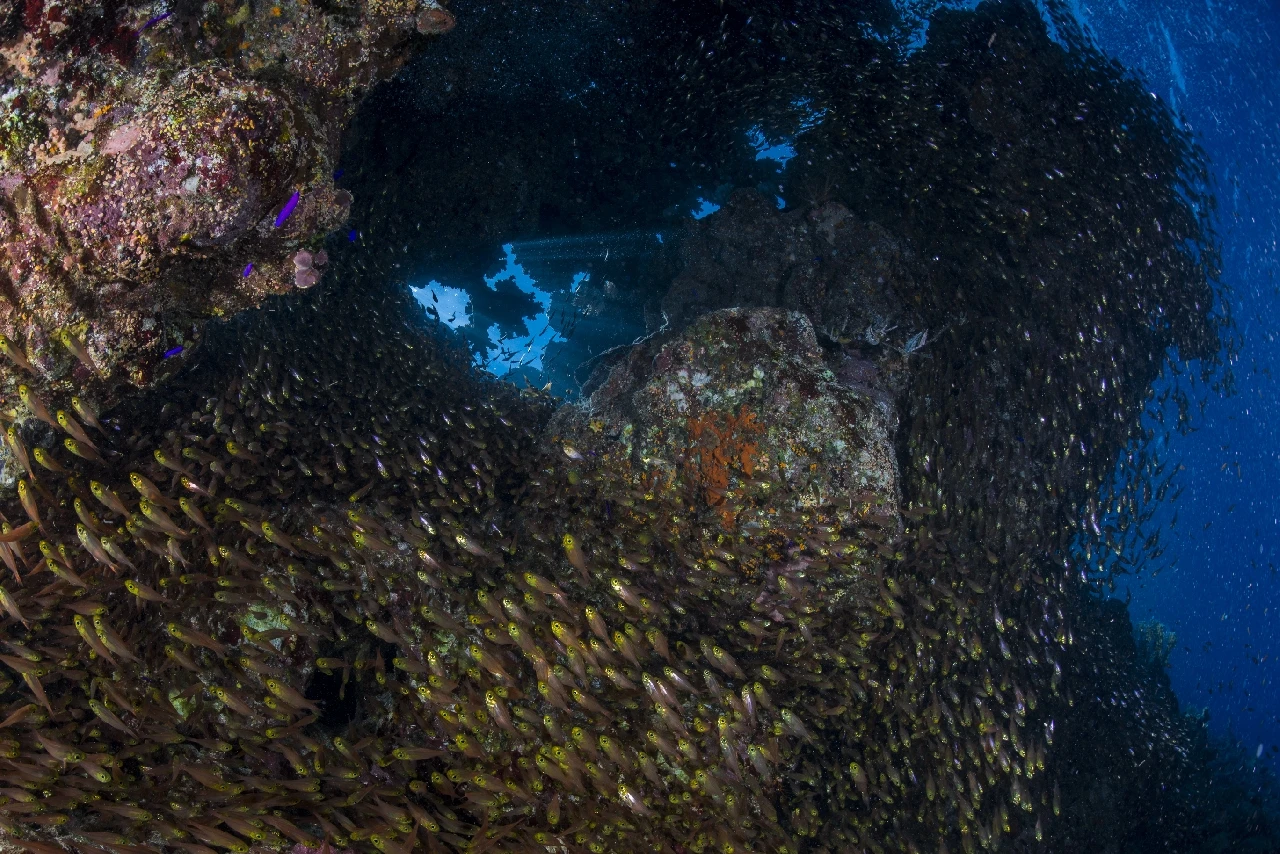 Sunray in the Deep - Wide Angle runner up by Alberto Buonanno, See in the Sea underwater photography contest