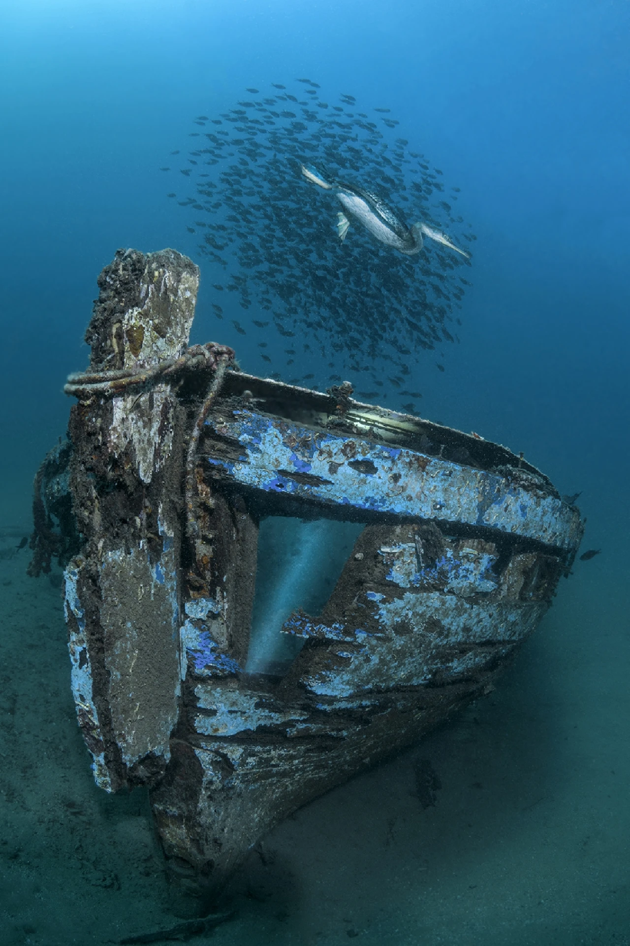 L'attimo fuggente