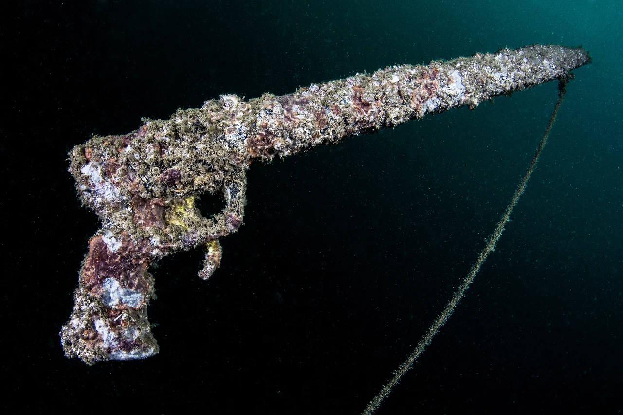Storyboard - Storyboard silver by Gabriella Luongo, See in the Sea underwater photography contest
