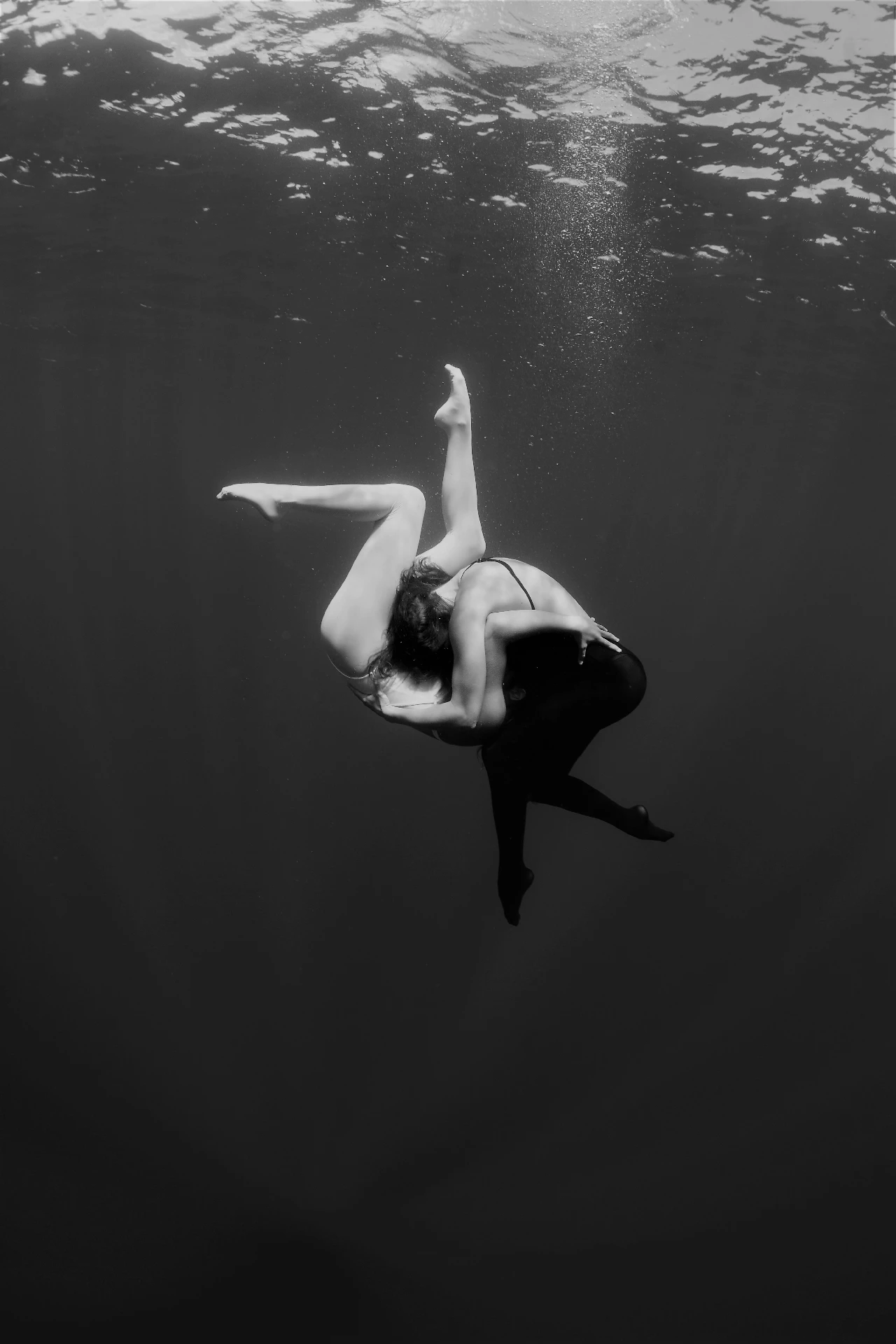 Yin E Yang - Storyboard bronze by Emanuele Vitale, See in the Sea underwater photography contest