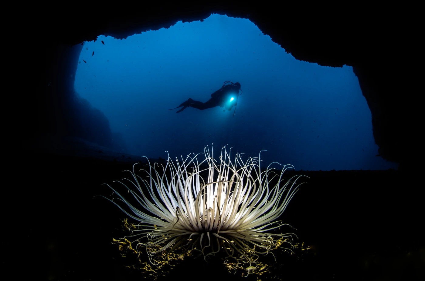 Cave - Wide Angle runner up by Alessandro Buzzichelli, See in the Sea underwater photography contest