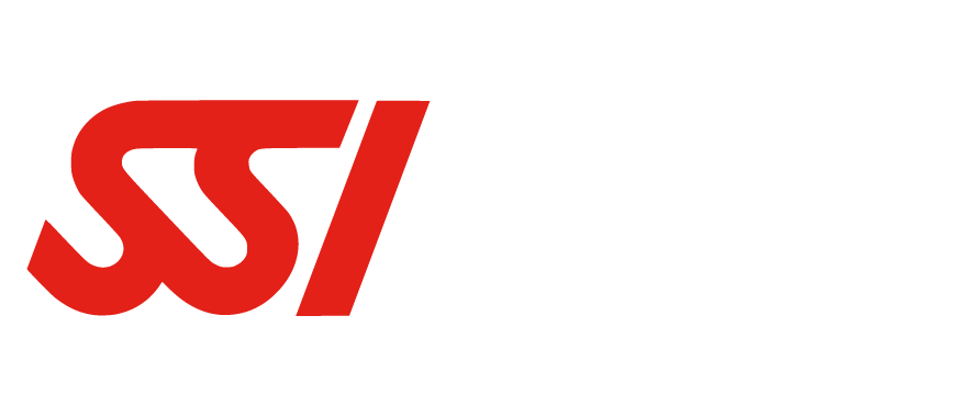 SSI logo